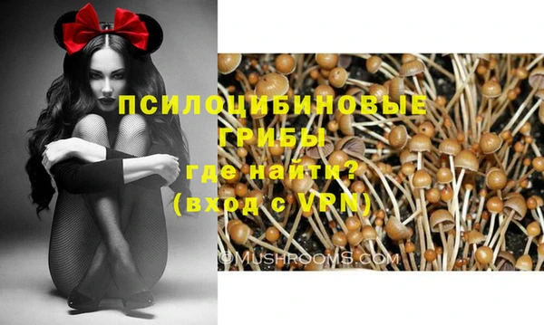 прущая мука Бородино